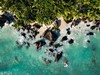 Hilton Seychelles Labriz Resort & Spa #2