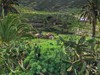 Španělsko - Ostrovy La Gomera a La Palma (Mgr. Sylva Vltavská)