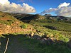 Španělsko - Ostrovy La Gomera a La Palma (Mgr. Sylva Vltavská)