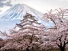 Velká plavba kolem Japonska s návštěvou Jižní Koreje #5