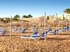 GRAVITY SAHL HASHEESH (ex. Ocean Breeze) #4