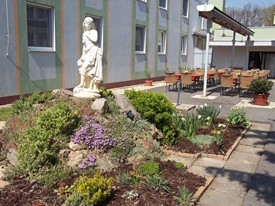 Hotel Platán