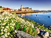Chile - Puerto Natales (Dreamstime)