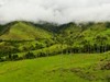 Kolumbie - kávový region (Dreamstime)