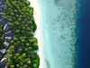 Fihalhohi Island Resort #3