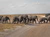 2 dny Safari Tsavo East + pobyt u moře v Neptune Beach #2