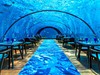 Restaurace