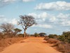 2 dny Safari Tsavo East + pobyt u moře v Neptune Village #3