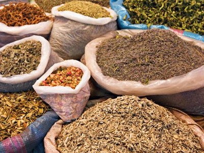 Ve stínu Atlasu + Essaouira