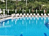 Daisy Hotel #3
