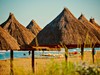 Paradu Tuscany EcoResort, Castagneto Carducci, Toskánsko, Itálie, Dovolena s CK Geovita
