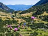 Bulharsko-poznávací-zájezd-Experitour-pohoří Pirin