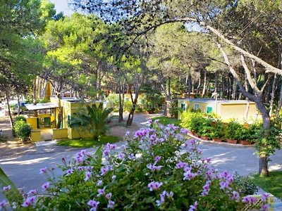 Camping La Vecchia Torre