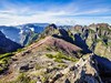 Madeira-na-Silvestra