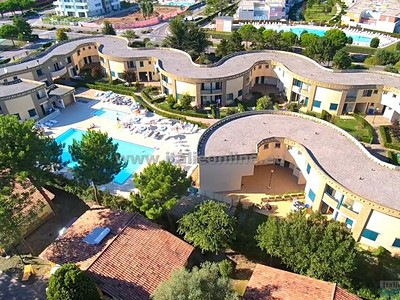 Villaggio Girasoli e Calycanthus