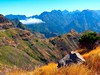 Madeira-na-Silvestra