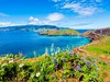 Madeira-na-Silvestra