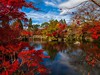 Poznávací zájezd do Japonska, Dovolená s CK Geovita