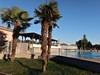 Camping Park Umag, Istrie, Chorvatsko, Dovolená s CK Geovita