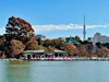 Poznávací zájezd do Japonska, Dovolená s CK Geovita