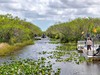 Everglades