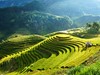 Vietnam - mu chang chai (Dreamstime)