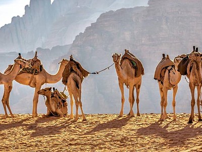 Egypt a Jordánsko - dvě tváře Blízkého východu
