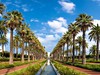 Casablanca