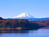 Poznávací zájezd do Japonska, Dovolená s CK Geovita