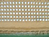 GRIFID ENCANTO BEACH #4