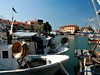 Aminess Sirena Campsite, Novigrad, Istrie, Chorvatsko, Dovolená s CK Geovita