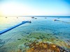 DoubleTree by Hilton Sharks Bay #4