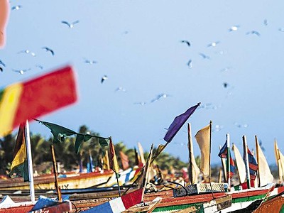 Exotika Light - Senegal