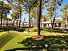 Aminess Avalona Camping Resort, Ostrov Pag, Chorvatsko, CK GEOVITA