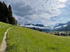 Gosau