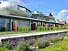 Hotel Antonie, Frýdlant, Jizerské Hory, Severní Čechy, Dovolená s CK Geovita