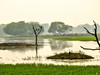 Indie - NP Keoladeo, Bharatpur (Dreamstime)
