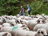 Apuseni - MTB v rumunském krasu
