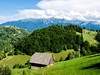 Piatra Crailui