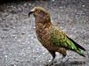 New Zealand