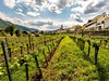 Údolí Wachau
