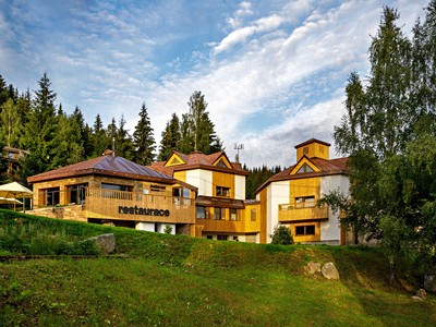 Ski & Spa hotel Bellevue