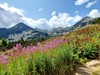 Rila a Pirin