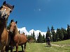 Apuseni - MTB v rumunském krasu