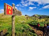 Madeira-turistický zájezd