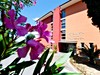 San Simon Resort, Hotel Haliaetum, Hotel Mirta, Slovinsko, CK GEOVITA