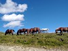 Rumunské Karpaty