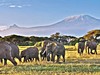 Přivítání s Afrikou - obrázek č. 7