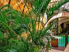 Casa La Factoria Hotel - obrázek č. 7
