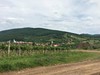 Maďarské vinice